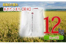 秋田県産 あきたこまち 精米 12kg（2kg×6袋）神宿る里の米「ひの米」　5934-0140