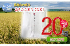 《定期便》2kg×10ヶ月 鳥海山の恵み！あきたこまち ひの米（玄米）計20kg　5934-0302