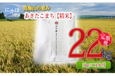 《定期便》2kg×11ヶ月 鳥海山の恵み！あきたこまち ひの米（精米）計22kg　5934-0310