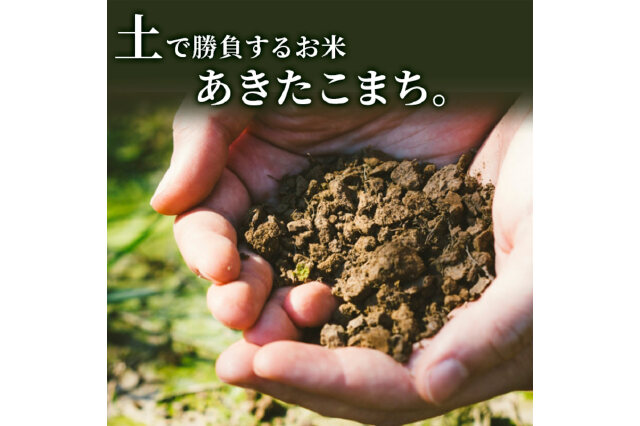 ふるさと納税 「米 定期便 5kg 6ヶ月 令和5年 あきたこまち 5kg×6回 計