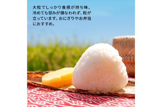 ふるさと納税 「米 定期便 5kg 6ヶ月 令和5年 あきたこまち 5kg×6回 計