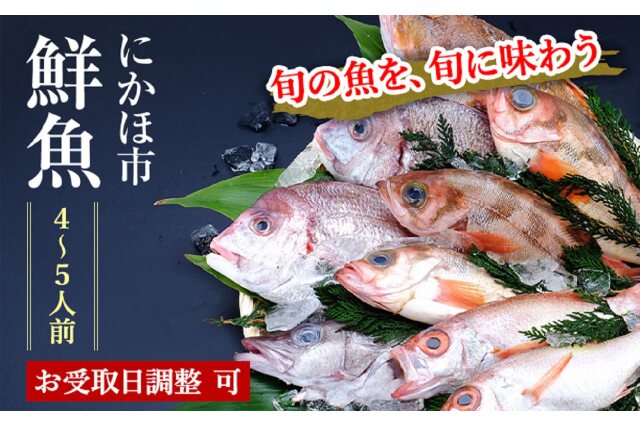 鮮魚セット 詰め合わせ(セット、詰め合わせ)｜売買されたオークション情報、yahooの商品情報をアーカイブ公開 - オークファン 魚介類