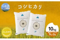 令和4年産 秋田県産コシヒカリ10kg(5kg×2袋 精米 こしひかり ）