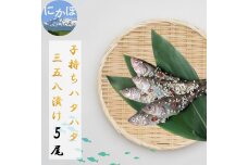 子持ちハタハタ三五八漬け　5尾　5934-0493