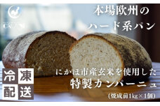 本場欧州のハード系パン　特製カンパーニュ　玄米(焼成前1kg)　59341239