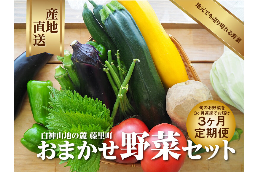 国内発送 あき様 野菜バラエティーセット - 野菜