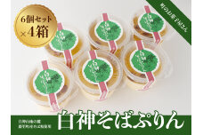 白神そばぷりん【6個セット×4箱】