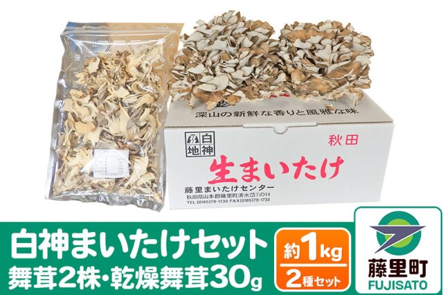 ふるさと納税 「白神まいたけセット（舞茸2株、乾燥舞茸30g）約1kg」 秋田県藤里町 - ふるさと納税の「ふるさとぷらす」