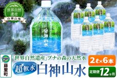 【定期便12ヶ月】白神山水（2L×6本） 水 ミネラルウォーター