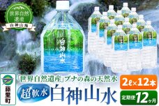 【定期便12ヶ月】白神山水（2L×12本） 水 ミネラルウォーター