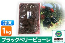 ブラックベリーピューレ 1kg フルーツ 果物