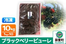 ブラックベリーピューレ 10kg フルーツ 果物