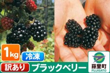 【訳あり】ブラックベリー 計1kg【冷凍】