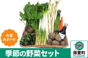季節 の 野菜 セット (内容お任せ)【8月より発送開始】秋田県 藤里町 [秋田県 藤…|10102