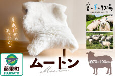 宮の羊の牧場ムートン 羊毛皮 天然素材 インテリア ふわふわ さらさら ベビーマット …|10265