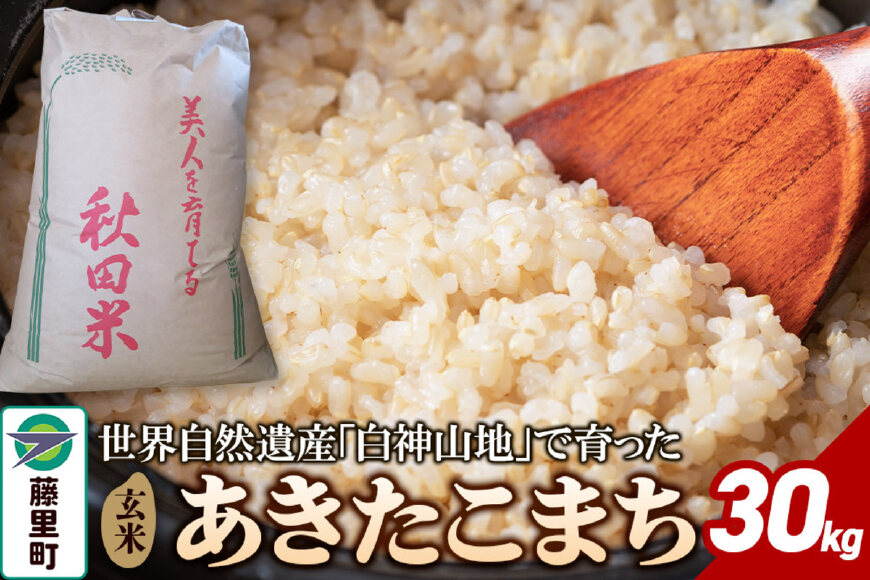 米 令和7年産 あきたこまち【玄米】30kg|10268
