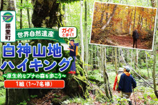 ガイドと歩く世界自然遺産・白神山地ハイキング 〜 原生的なブナの森を歩こう（1組：1〜…|10299
