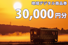 テツふる・地域デジタル商品券（30,000円分）