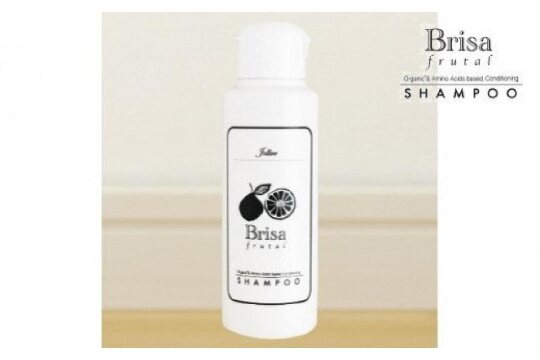 ブリッサフルータル ノンシリコンシャンプー（100mL×2本）