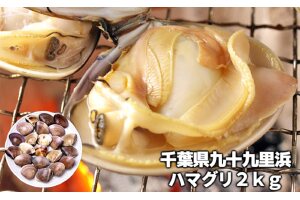 千葉県産ボイルハマグリ　2kg