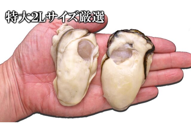 ふるさと納税 「大粒むき身牡蠣 3kg」 千葉県長生村 - ふるさと納税の
