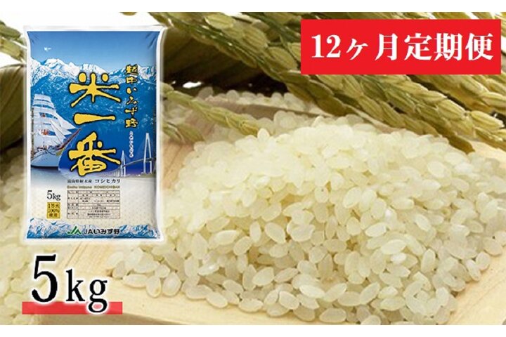 ふるさと納税 12ヶ月定期便 越中いみず野米一番 5kg コシヒカリ 富山県射水市 ふるさと納税の ふるさとぷらす