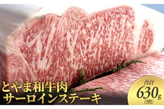 とやま和牛肉 サーロイン ステーキ 合計630g 3枚 牛肉 和牛 肉 お肉