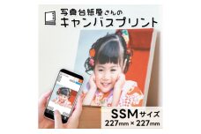 キャンバスプリント SSMサイズ フォト 写真 パネル オーダー 印刷 アート　56830677