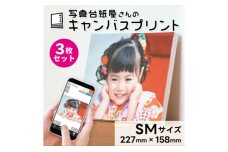 キャンバスプリント SMサイズ 3枚セット フォト 写真 パネル オーダー 印刷 　56830680