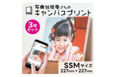 キャンバスプリント SSMサイズ 3枚セット フォト 写真 パネル オーダー 　56830685