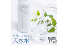 北アルプス 宝水 480ml×12本 F6T-977