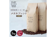 定期便 コーヒー 豆 1kg×6回 メガネブレンド 珈琲 FLAT COFFEE F6T-748