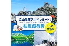 立山黒部アルペンルート ( 立山駅 ～ 室堂駅 ※往復 ) 優待券 F6T-779