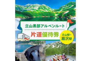 立山黒部アルペンルート ( 立山駅 ～ 扇沢駅 ※片道 ) 優待券 立山黒部貫光 F6T-780