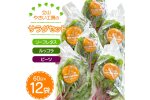 立山やさい工房のサラダセット（60g×12袋） 富山県 立山町 F6T-089