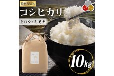 特別栽培米 コシヒカリ ヒロシノキモチ 10kg F6T-326
