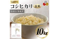 特別栽培米 コシヒカリ ヒロシノキモチ 玄米 10kg F6T-331