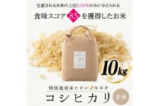 【先行予約】特別栽培米 コシヒカリ ヒロシノキモチ 玄米 10kg F6T-812