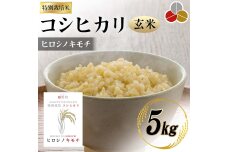 特別栽培米 コシヒカリ ヒロシノキモチ 玄米 5kg F6T-332