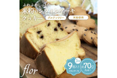 《本州限定出荷》米粉シフォンケーキ 3種×3個 計9個 & 米粉クッキー 約70g F6T-124