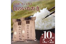 立山産コシヒカリ 山のいただき 合計10kg (5kg×2袋) コシヒカリ 銘柄米 F6T-520