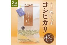 ＜定期便＞立山のちから米 コシヒカリ 各5kg ＜全3回＞ 計15kg 国産 米 F6T-538