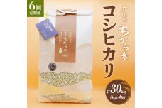 ＜定期便＞立山のちから米 コシヒカリ 各5kg ＜全6回＞ 計30kg 国産 米 F6T-539