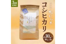 ＜定期便＞立山のちから米 コシヒカリ 各10kg ＜全3回＞ 計30kg 国産 米 F6T-540