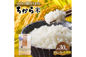 ＜定期便＞立山のちから米 コシヒカリ 各10kg ＜全3回＞ 計30kg 国産 米 F6T-540