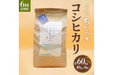 ＜定期便＞立山のちから米 コシヒカリ 各10kg ＜全6回＞ 計60kg 国産 米 F6T-541