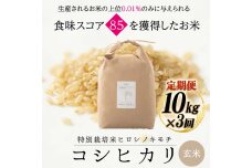 【先行予約3回定期】特別栽培米コシヒカリ ヒロシノキモチ 玄米10kg 計30kg F6T-896