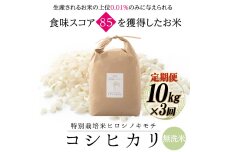 【先行予約3回定期】特別栽培米コシヒカリ ヒロシノキモチ 無洗米10kg 計30kg F6T-825