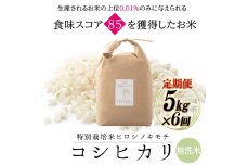 【先行予約6回定期】特別栽培米コシヒカリ ヒロシノキモチ 無洗米 5kg 計30kg F6T-817