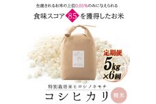 【先行予約6回定期】特別栽培米 コシヒカリ ヒロシノキモチ 精米 5kg 計30kg F6T-882